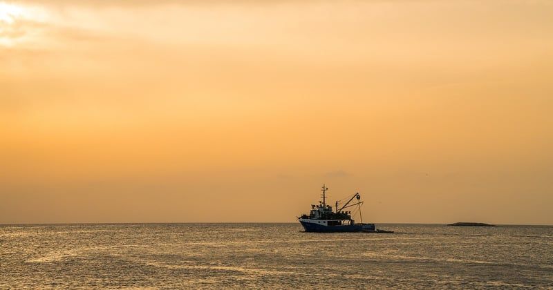 Maestro Executive : transformer la veille économique en décisions utiles